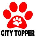 Citytopper